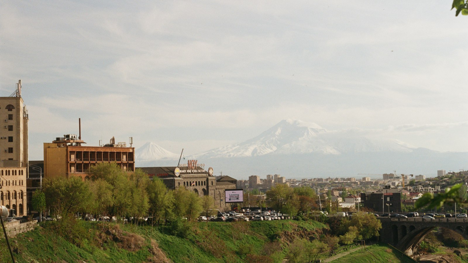 Երևանի շենքերը և կանաչ կիրճը գարնանը, քաղաքի հետևում՝ ձյունածածկ Արարատ լեռը։